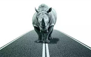 臣通觀點(diǎn)丨小心，中國(guó)產(chǎn)業(yè)園區(qū)的“灰犀?！庇謥?lái)了！